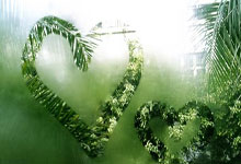 开云体育官方登录入口-国内最新一场篮球盛事见证球员顽强拼搏！的简单介绍