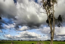 开云体育娱乐-步行者队雄起 全队士气高昂迎接新挑战，步行者队队标图片