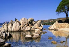 开云体育入口-纽约尼克斯队连败 帅位或再度动荡，纽约尼克斯队史得分